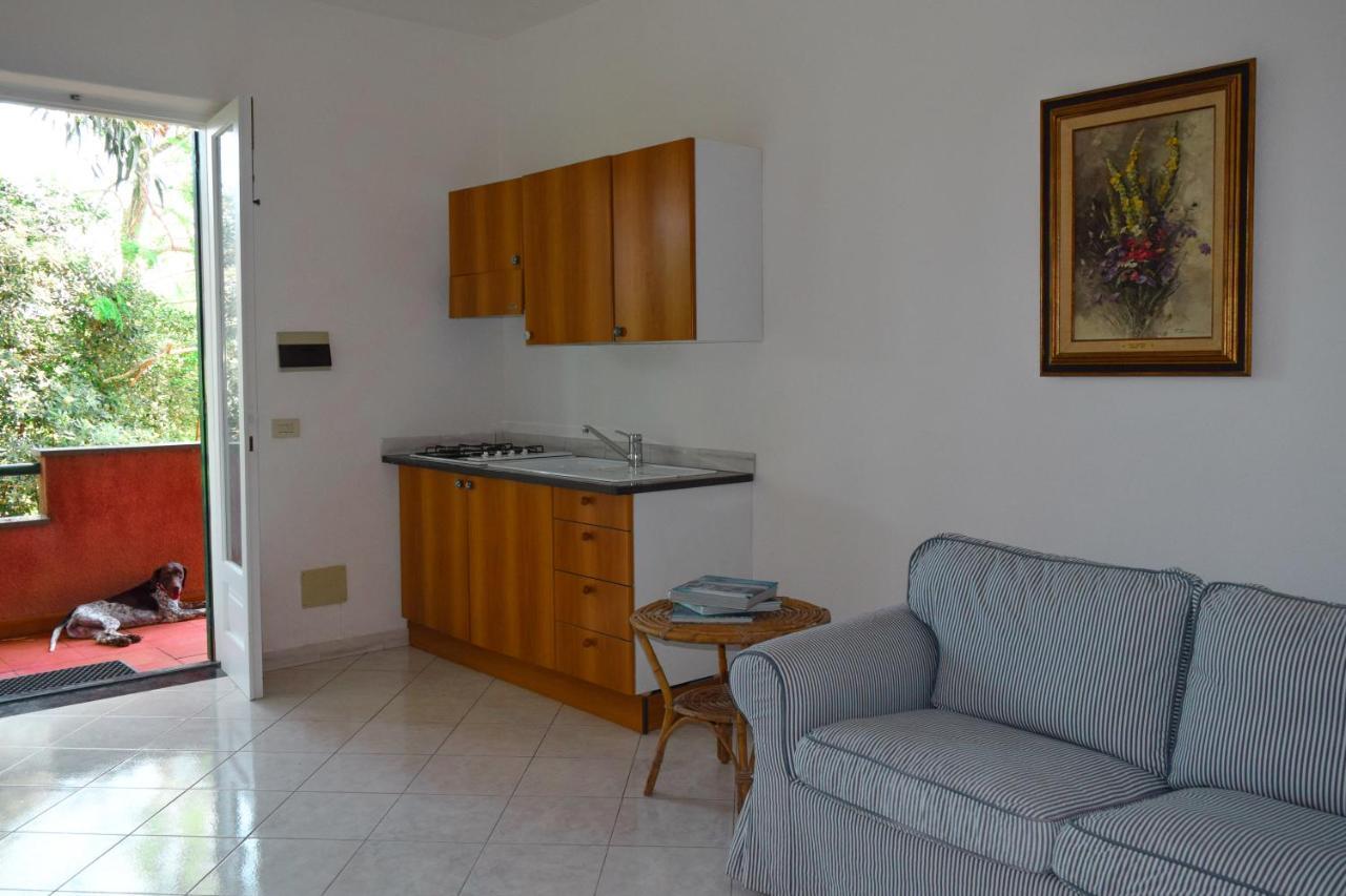 Il Giardino Selvatico Di Succellario - Apartments Barano dʼIschia Buitenkant foto